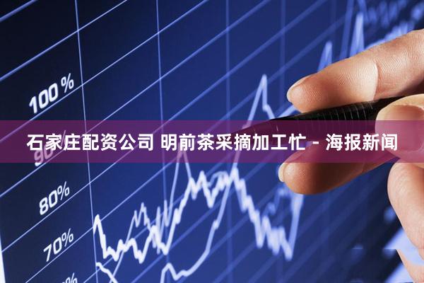 石家庄配资公司 明前茶采摘加工忙 - 海报新闻